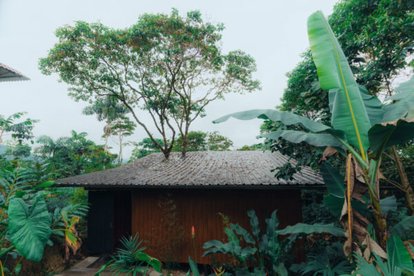 Glamping - Entre Árboles