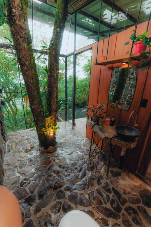 Glamping - Entre Árboles - Image 3